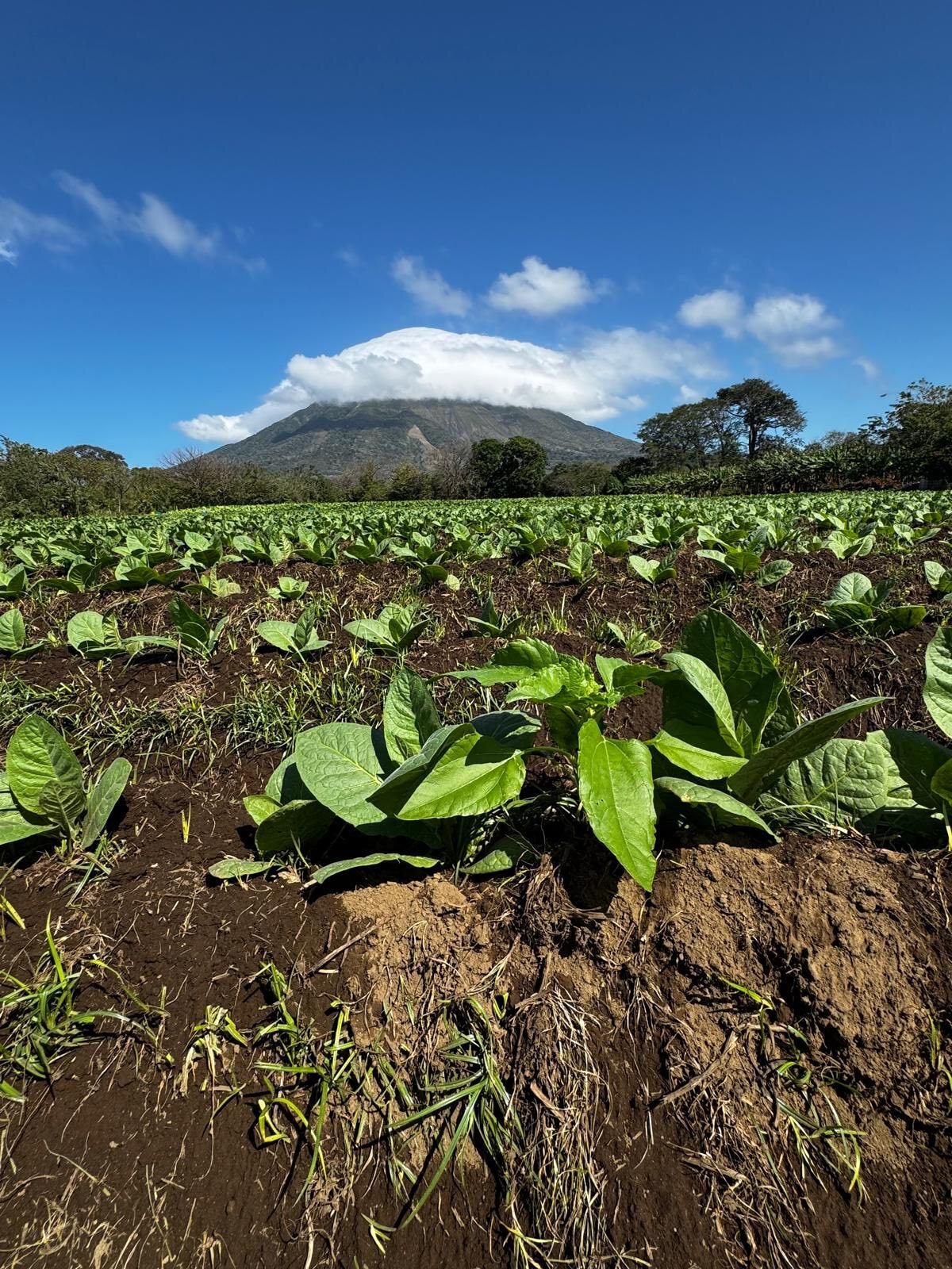 ometepe-2-.jpg